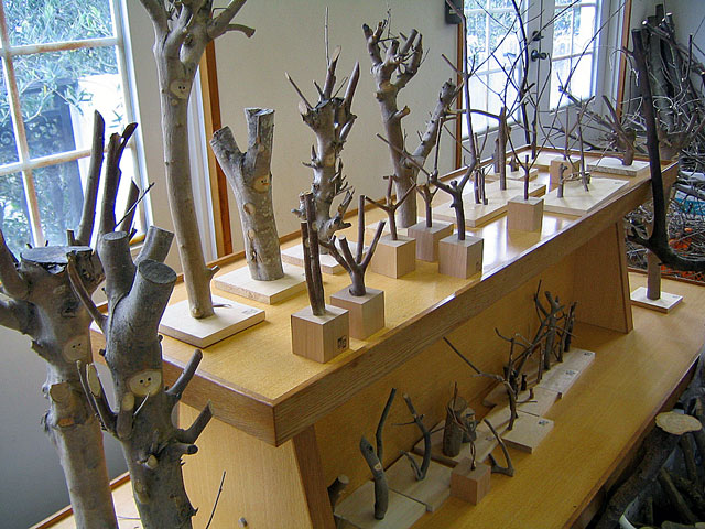 shodoshima-tokimeki023jpg